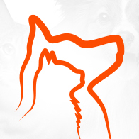 DOGust Birthday Bash & BINGO - logo